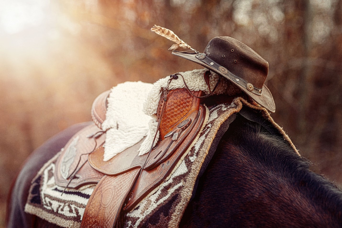 Westernzadel voor paard en ruiter