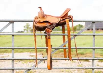 EDIX Django - Boomloos westernzadel